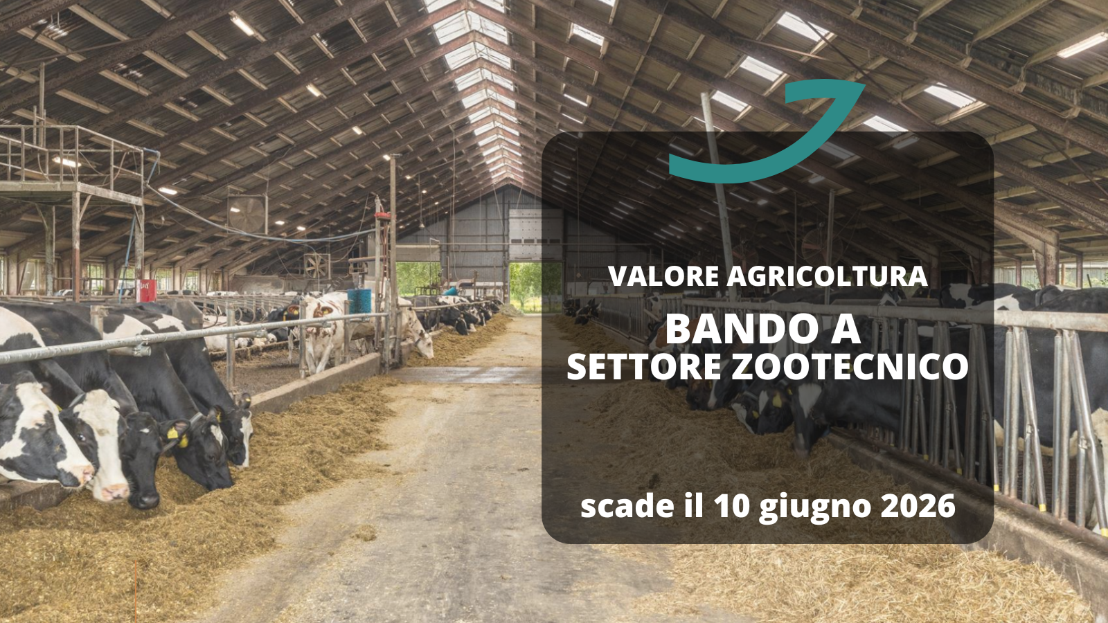 valore agricoltura bando a settore zootecnico